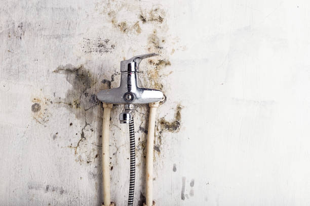 Glouster, OH Mold Remediation Company