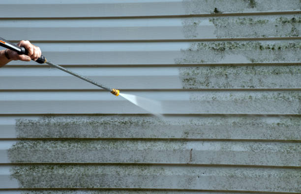 Best Bathroom Mold Remediation in Glouster, OH